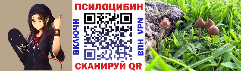 Псилоцибиновые грибы мицелий  Кремёнки 